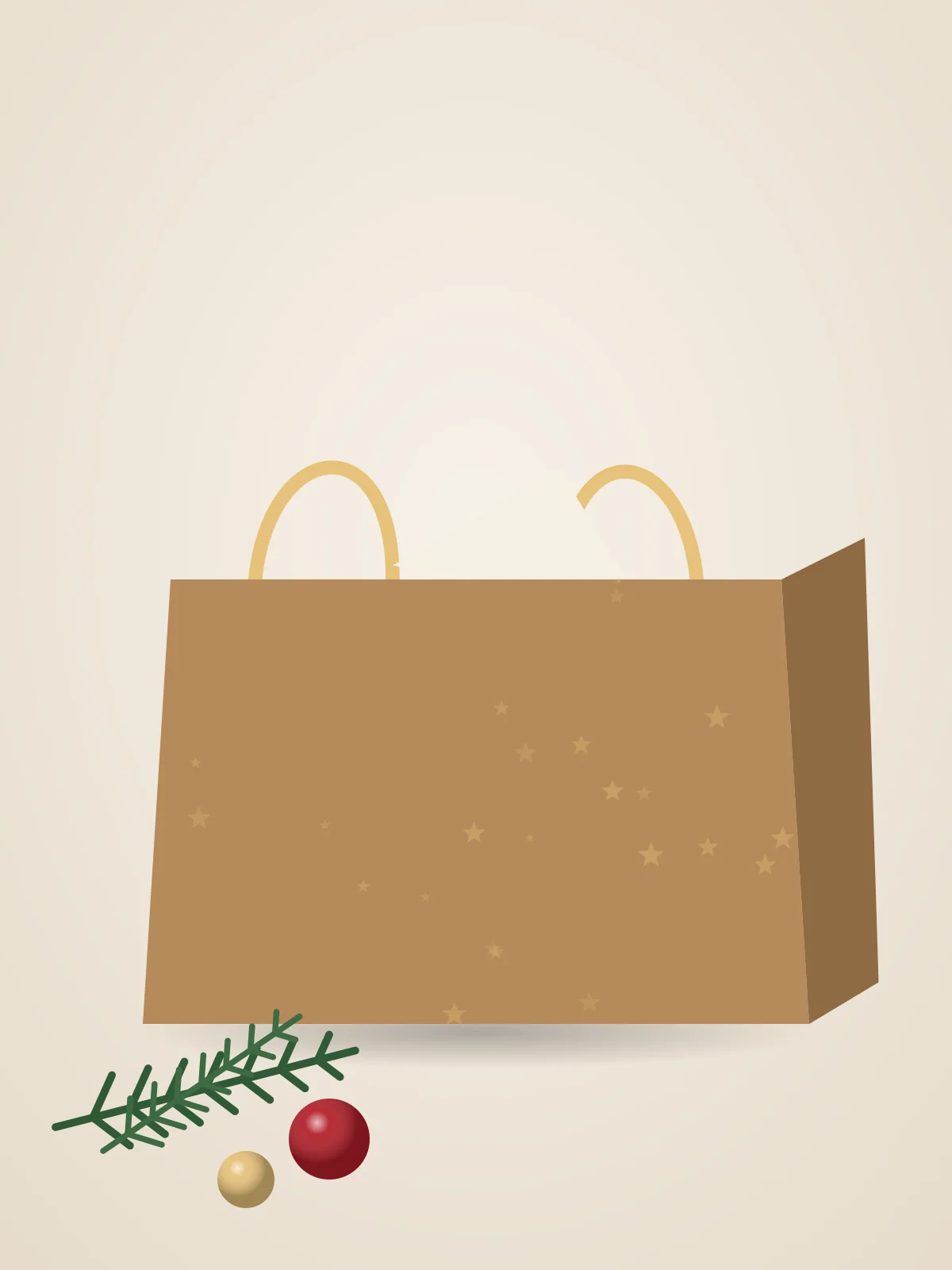 Pochette cadeau kraft étoilée